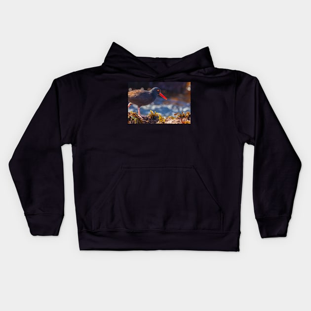 Oystercatcher Kids Hoodie by jvnimages